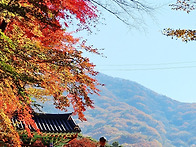 '25년 문수사, 내장사 단..