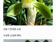 초보자-Tip