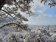 오늘 금수산대장님 송년산..