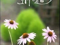 좋은하루되세요...
