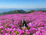 5/4~5 황매산.감암산-아라..