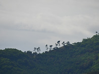수동