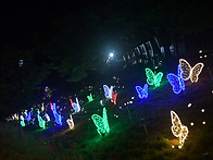 중량천 별빛축제