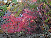 24/11/17 논산 대둔산 산..