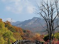 가을 산책