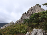 밀양재약산