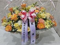 장미혼합