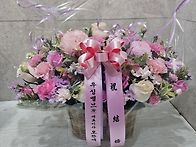 핑크타입