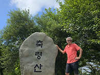 축령산 편백의 숲에서 마음..