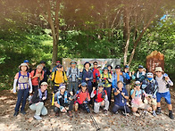 편백나무 명품 숲의 장성 ..