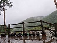 하늘내린터의 옹기 항아리..