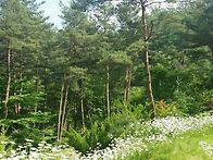 아! 이 순수함이란 순백의..
