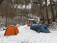 블로거 얼리어뎁터님의 강..