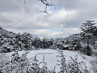 휘둘러 바라보는곳마다 하..