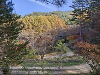 입동절기 만추의 하늘내린..