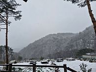 올겨울 인제 하늘내린터에..