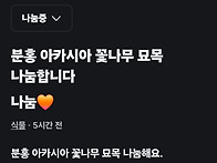 하늘내린터의 붉은 아카시..