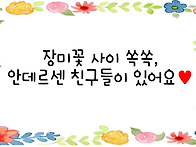 &#127801;장미꽃보고 