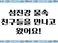 🐠봄소풍 - 섬..