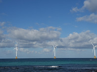 바다의 바람개비