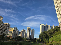 동네 아침