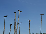 바람 탓