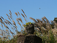 돌의 계절 감각