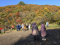 단풍을 처음 본다는 사람들