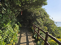 큰엉 해변 숲길