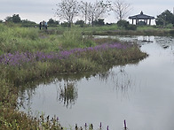 수산한못