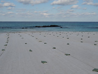 김녕해수욕장의 휴식