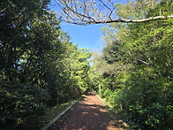 한라수목원 산책로