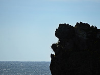 부르고 또 불러라