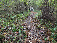 늦가을 요즘 숲 길