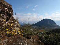 산국 이야기