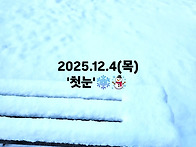 2025 첫눈, 새하얀 세상,..