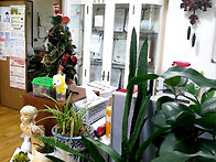 늘 새로운 날...