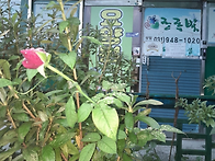 행복을 나누는 하..