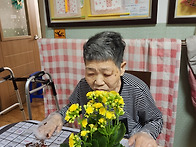 꽃보다 어르신