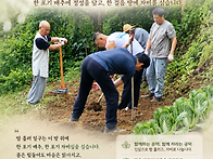 배추밭 만들기 운력