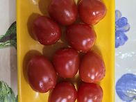 2월 18일-금요일