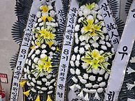 [고 도대호 동기 ..