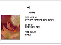 새/ 박영배
