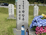 대전에서