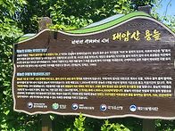대암산 용늪