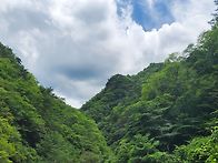 지장산계곡