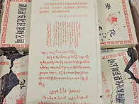 2007년 안화흑전차