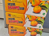 12월 03일 - 구포성심병원..