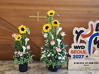 연중 제12주일