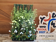 연중 제13주일